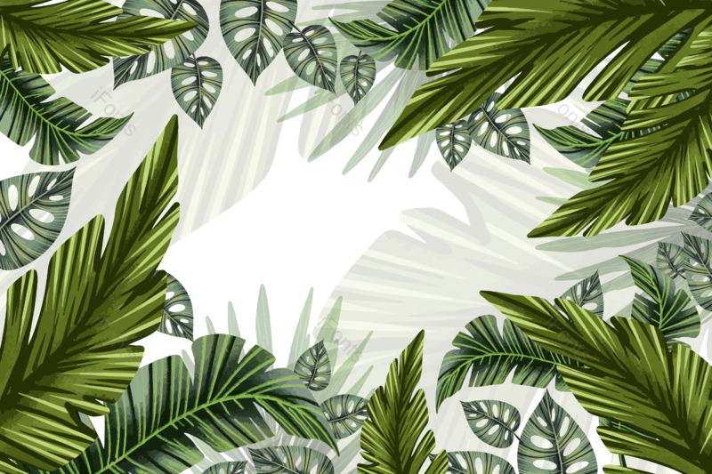 叶子图片,插画元素,花草PNG,树叶免抠素材